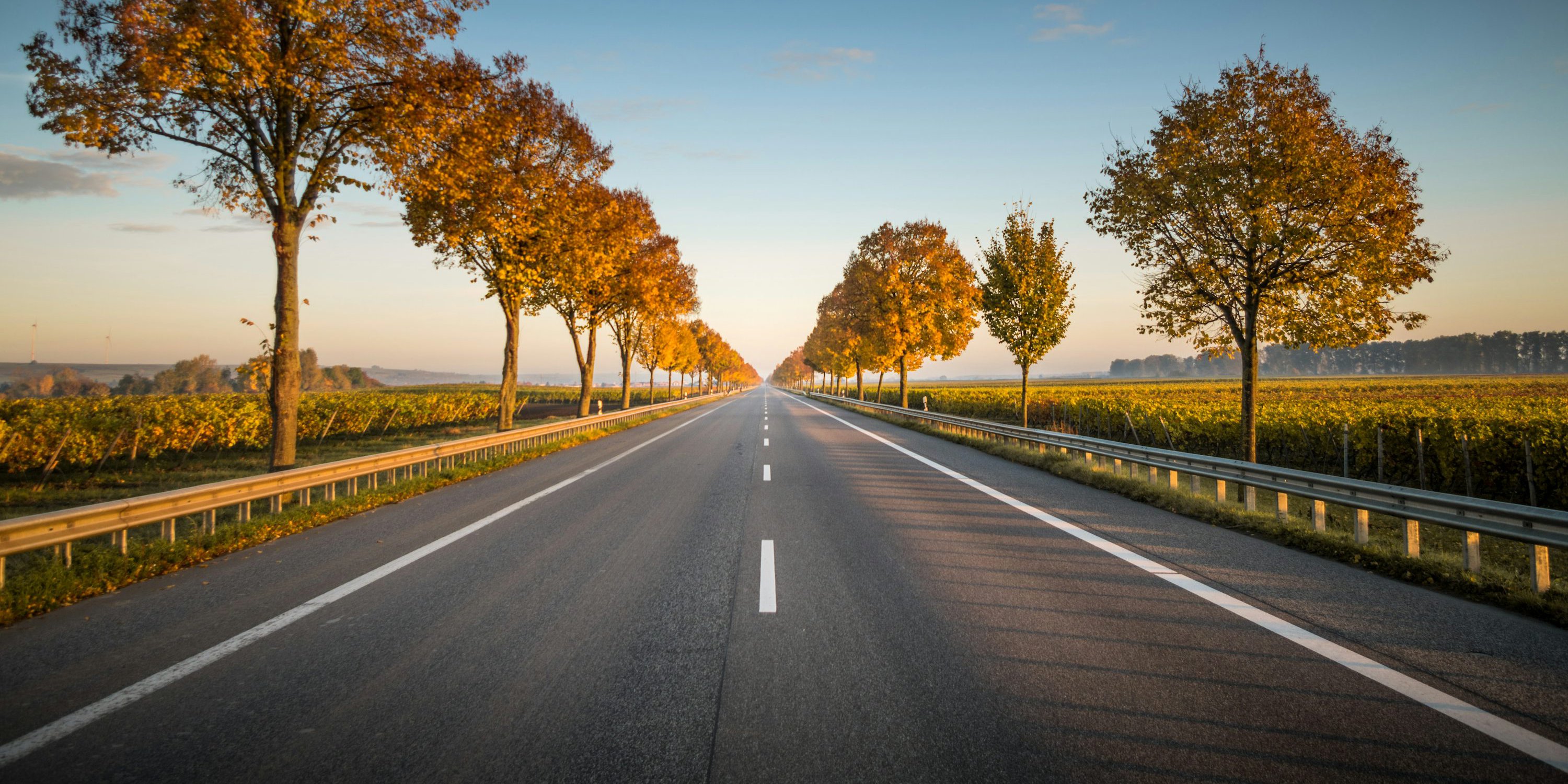 Permisos y Legislación